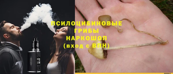 СК Алзамай