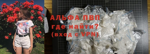 стафф Алексин