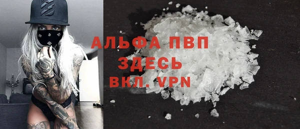 стафф Алексин