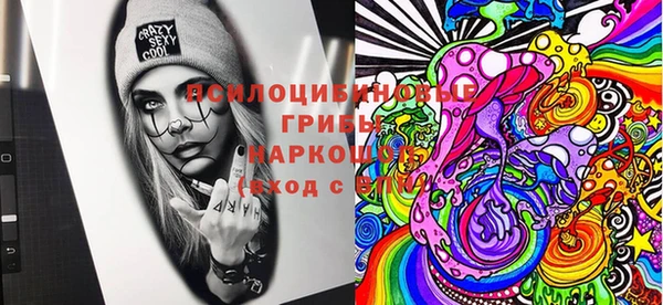 стафф Алексин