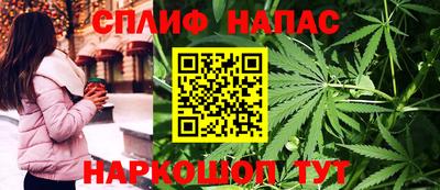 МДПВ Партизанск
