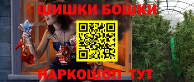 МДПВ Партизанск