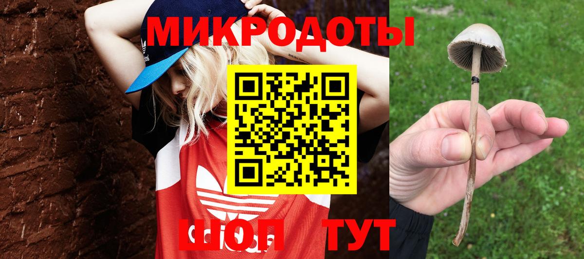 Псилоцибиновые грибы мухоморы  Вход с VPN  Псилоцибиновые грибы GOLDEN TEACHER  Санкт-Петербург 
