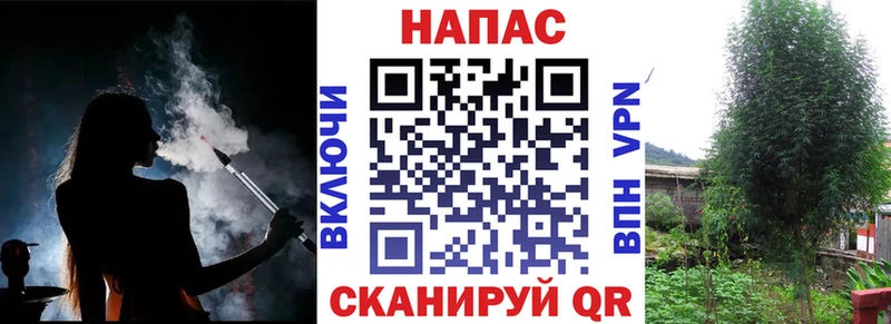 магазин    Санкт-Петербург  Марихуана индика 